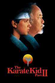 دانلود فیلم The Karate Kid Part II 1986 (بچه کاراته‌کار۲) دوبله فارسی بدون سانسور