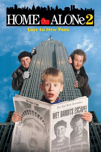 دانلود فیلم Home Alone 2: Lost in New York 1992 (تنها در خانه ۲: گم‌شده در نیویورک) دوبله فارسی بدون سانسور